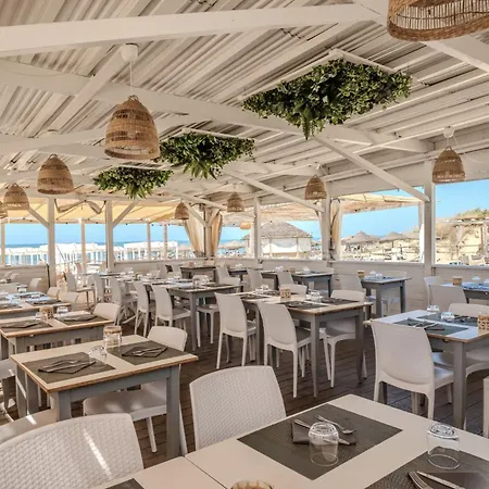 Hotell Hotiday Collection - Tirrenia