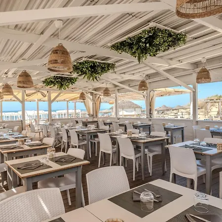 Hotel Hotiday Collection - Tirrenia